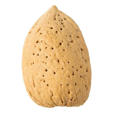 Raw Almonds In Shell Bulk Size 25 lbs/11.33 kgs