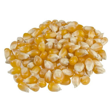 Trophy Foods Popcorn Kernels, Bulk | 10KG/Unit, 1 Unit/Case