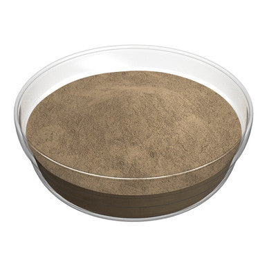 Gordon Choice GFS  Onion Soup Base, No Added Msg | 4.54KG/Unit, 1 Unit/Case