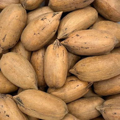 Paper-Shell Pecans Bulk Size 25 lbs/11.33 kgs