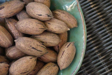 Paper-Shell Pecans Bulk Size 25 lbs/11.33 kgs