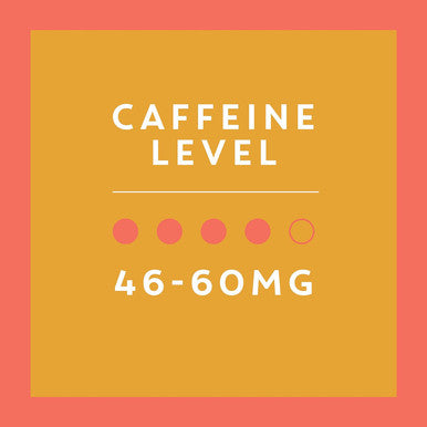 TAZO Chai Tea Latte 1:1 Concentrate | 946ml/32 Fl Oz  | 12/CASE