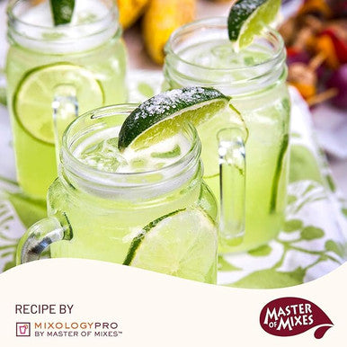Master of Mixes Spicy Margarita Mix 1 Liter - Bold Lime, Citrus (12/Case)