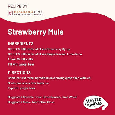 Master of Mixes 375 mL Strawberry Syrup - Rich Juicy Flavor (12/Case)