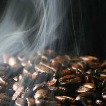 Bristot DECAFFEINATO Skilful Medium Blend Coffee Beans - 1.1 lbs (6/Case)